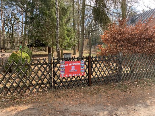 Single wohnung falkensee